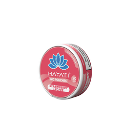 Hayati Nic Pouches 12mg